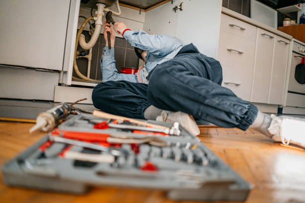 Best Water Softener Installation  in Dolan Springs, AZ