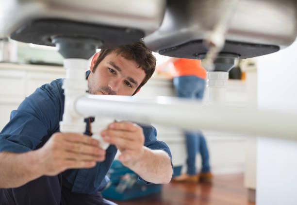 Best Commercial Plumbing Services  in Dolan Springs, AZ